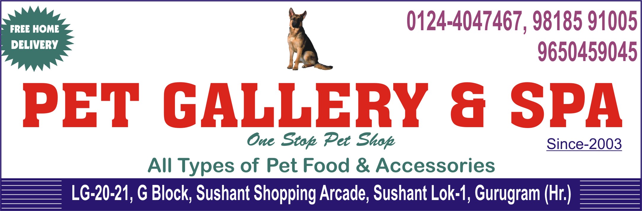 PET GALLERY (Pet Shop in Sushant Lok Gurugram)
